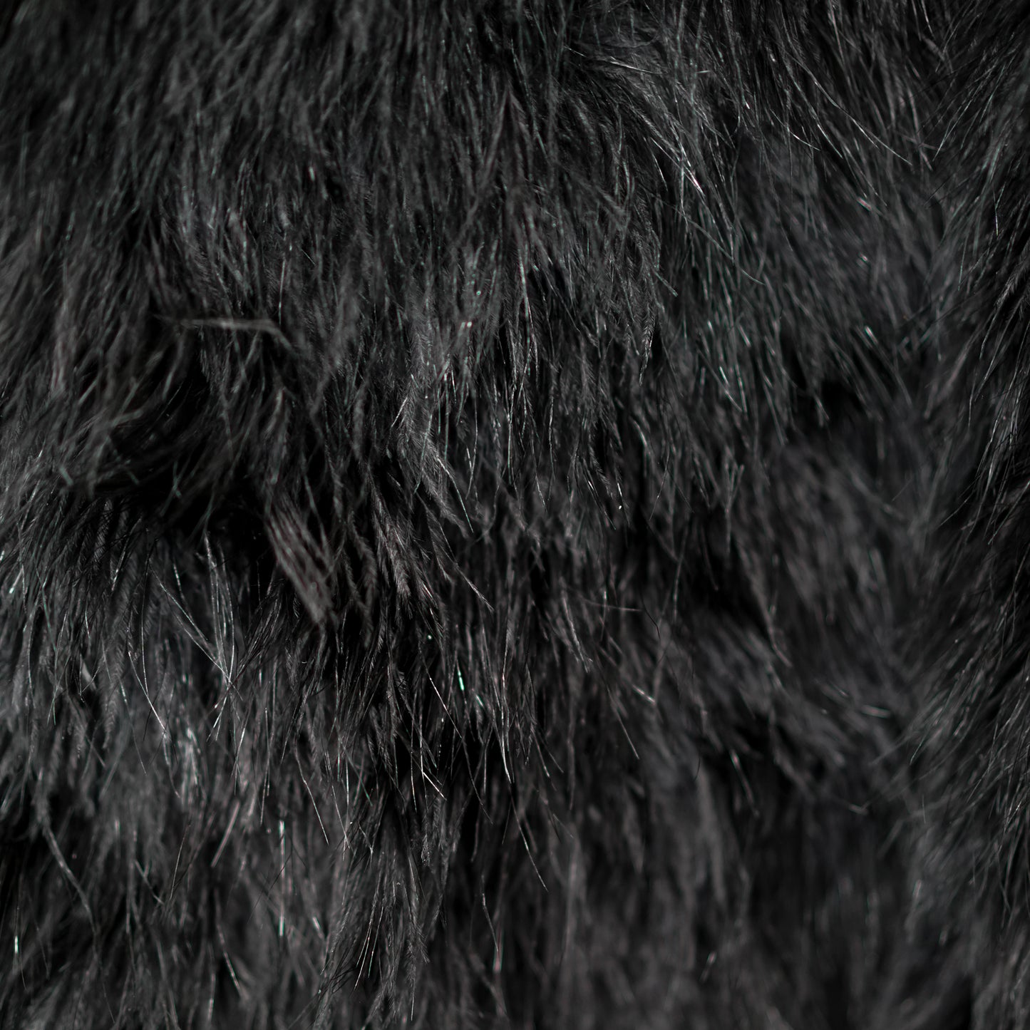 Manteau en Plumes Noir FW 2007 par Sonia Rykiel