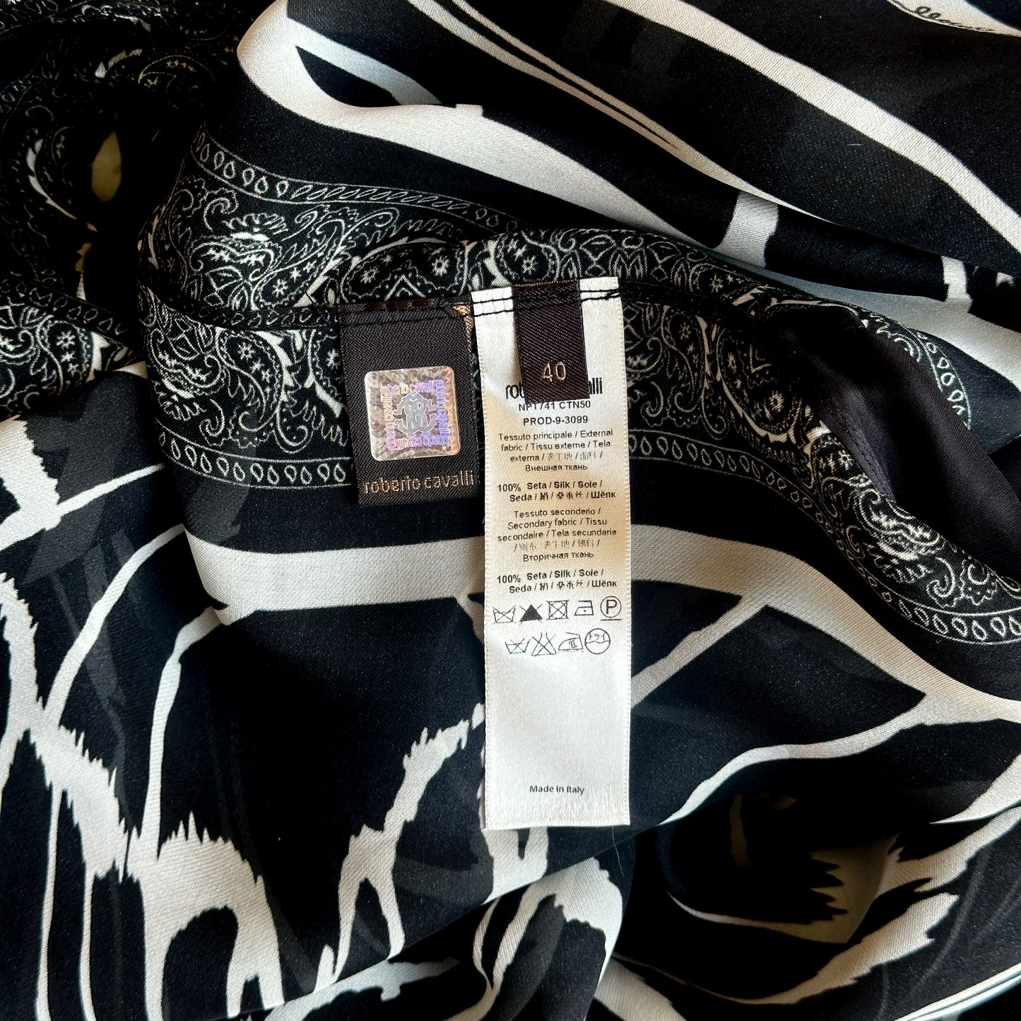 Robe Motif Zebre 2010 Roberto Cavalli