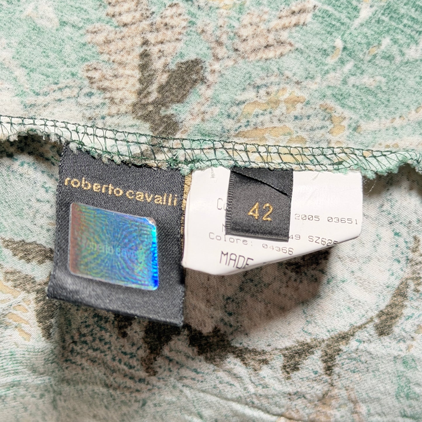 Robe Verte et Lurex Roberto Cavalli FW 2005