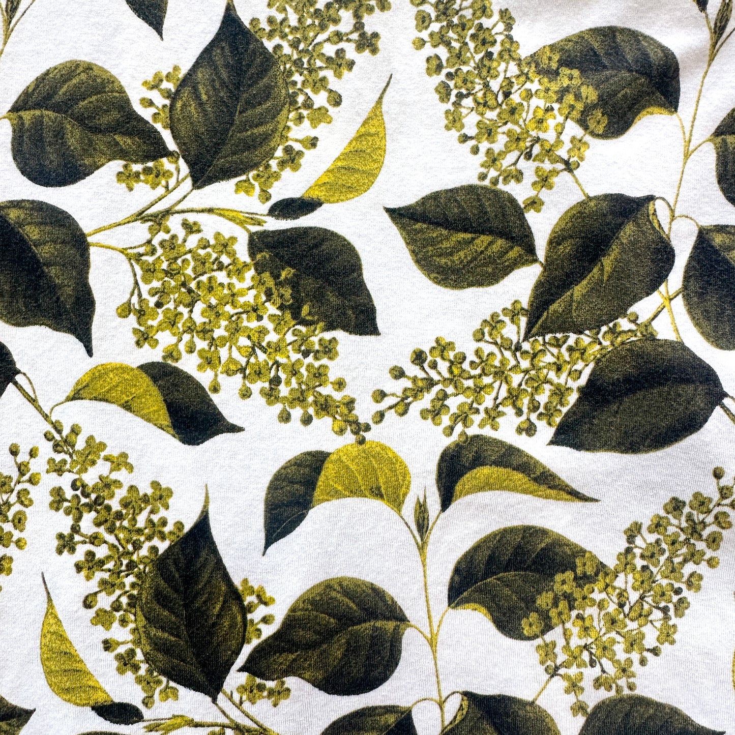 Robe Motif feuille Roberto Cavalli SS 2009 par Roberto Cavalli